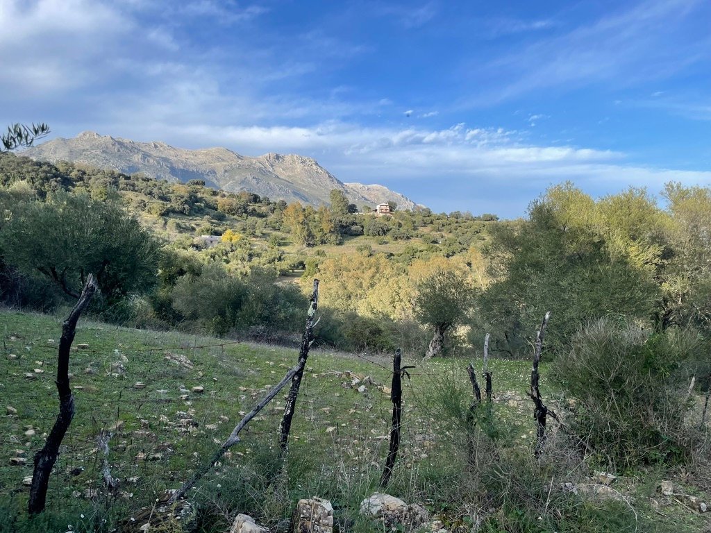 view to the house with grazalema in the background